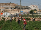 Arab-Israeli employees working with the Arab-Israeli employees working with the